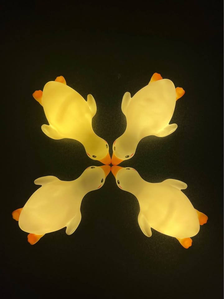 Cute Duck Light